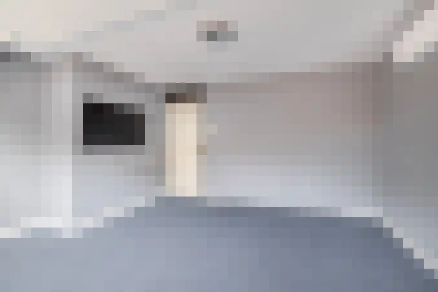 Albatroshoek 8 Spijkenisse thumbnail 36