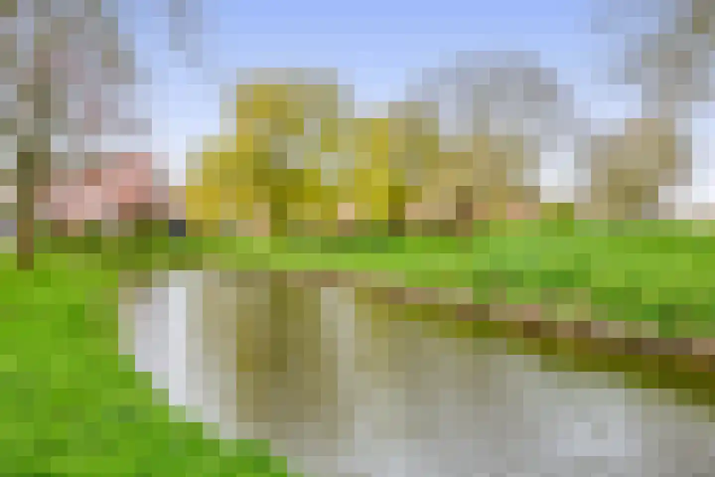 Albatroshoek 8 Spijkenisse thumbnail 43