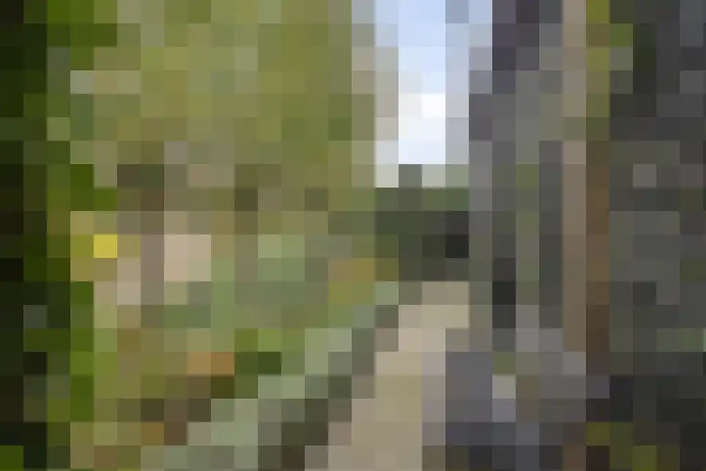 Albatroslaan 148 Lelystad thumbnail 37