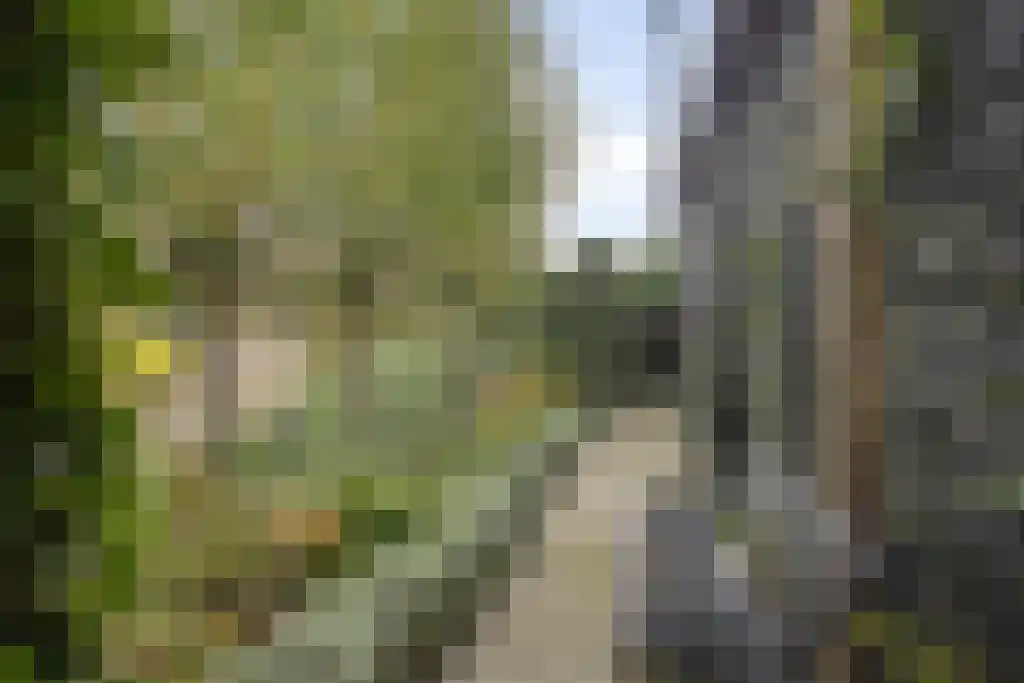 Albatroslaan 148 Lelystad thumbnail 38
