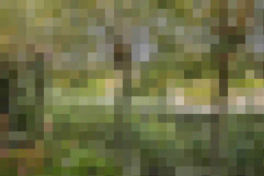 Albatroslaan 148 Lelystad thumbnail 38