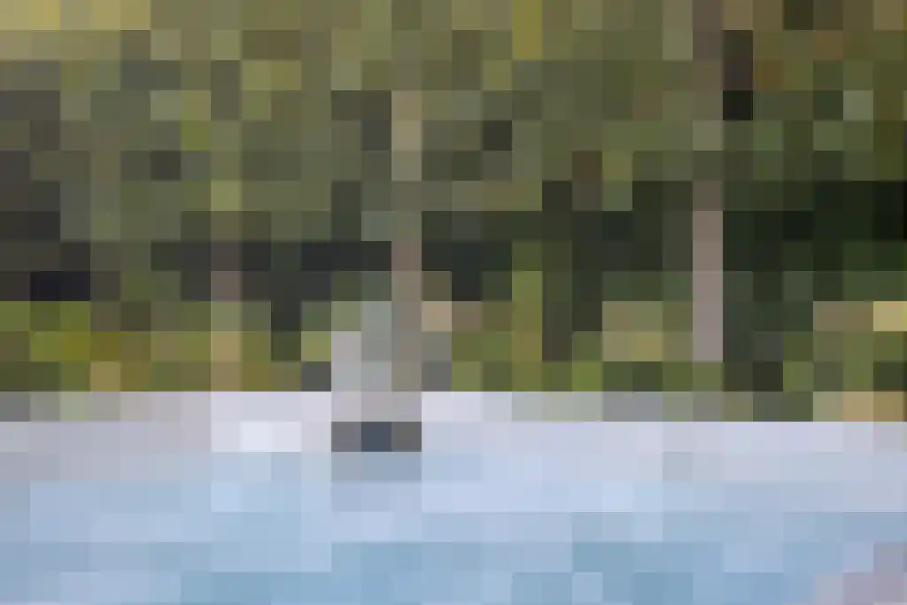 Albatroslaan 148 Lelystad thumbnail 39