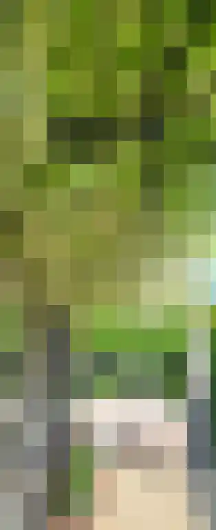 Albatroslaan 148 Lelystad thumbnail 4