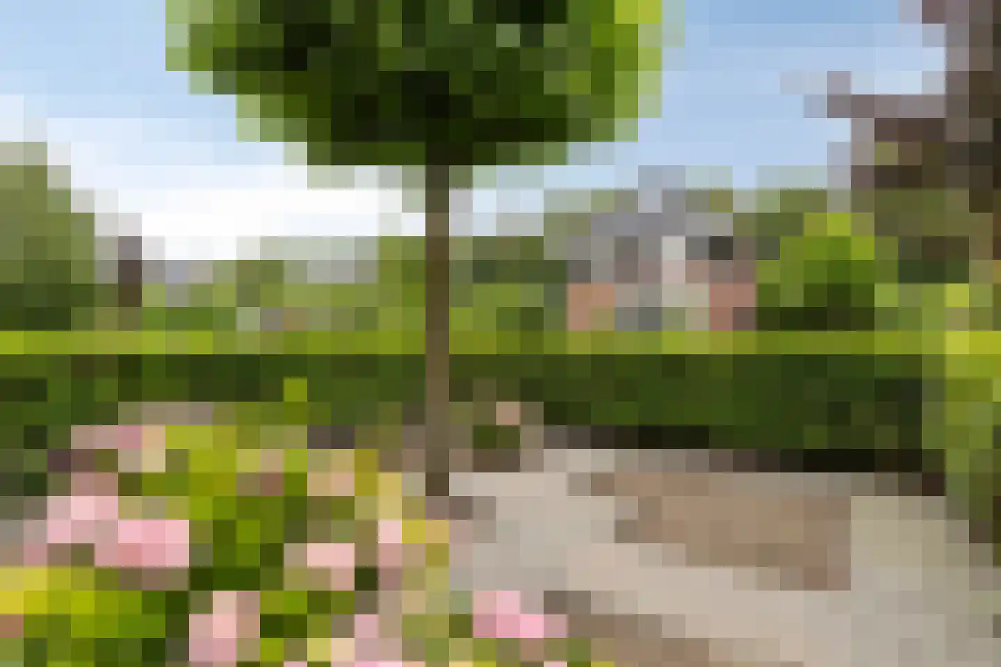 Albatroslaan 221 Lelystad thumbnail 12