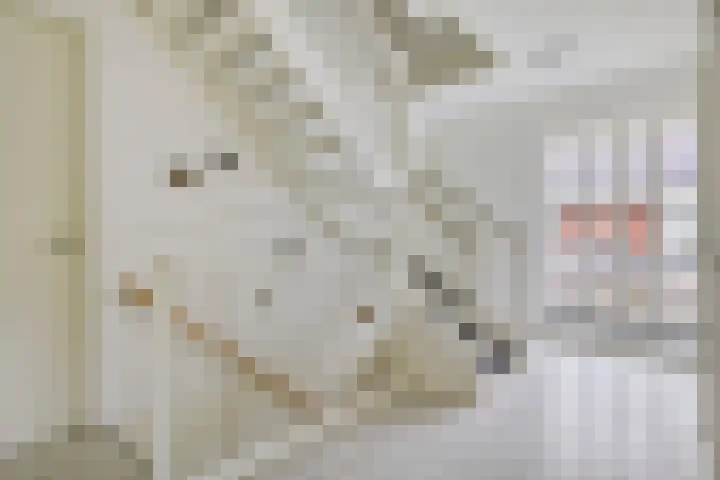 Albatroslaan 221 Lelystad thumbnail 35