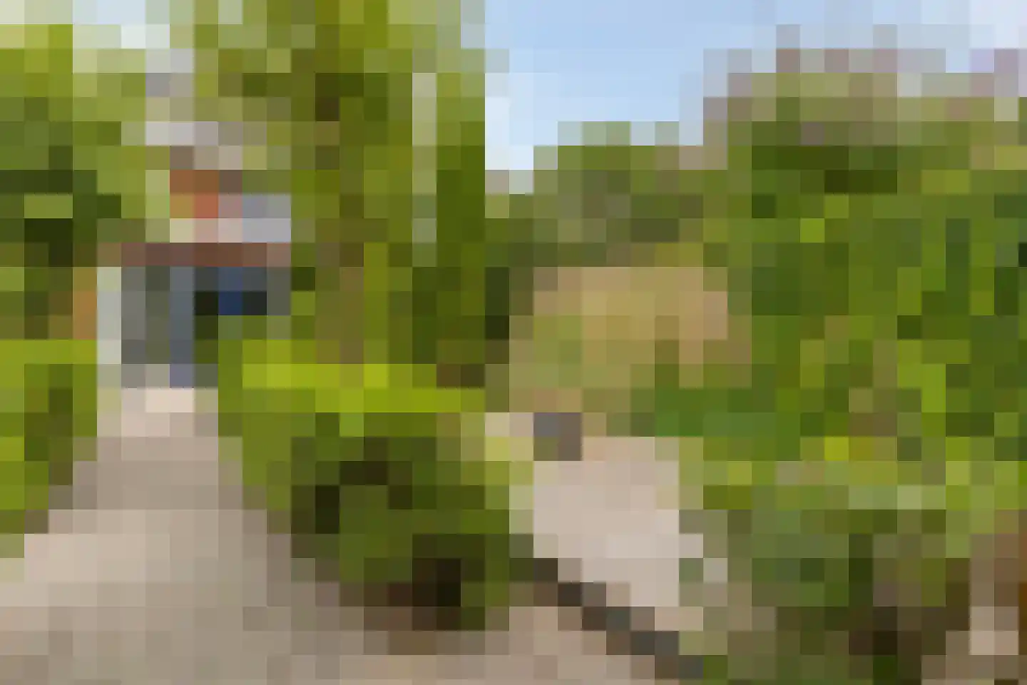 Albatroslaan 221 Lelystad thumbnail 61
