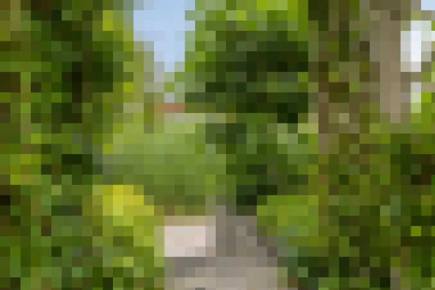 Albatroslaan 221 Lelystad thumbnail 62