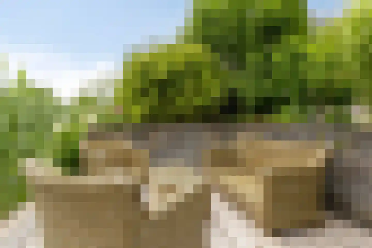 Albatroslaan 221 Lelystad thumbnail 66