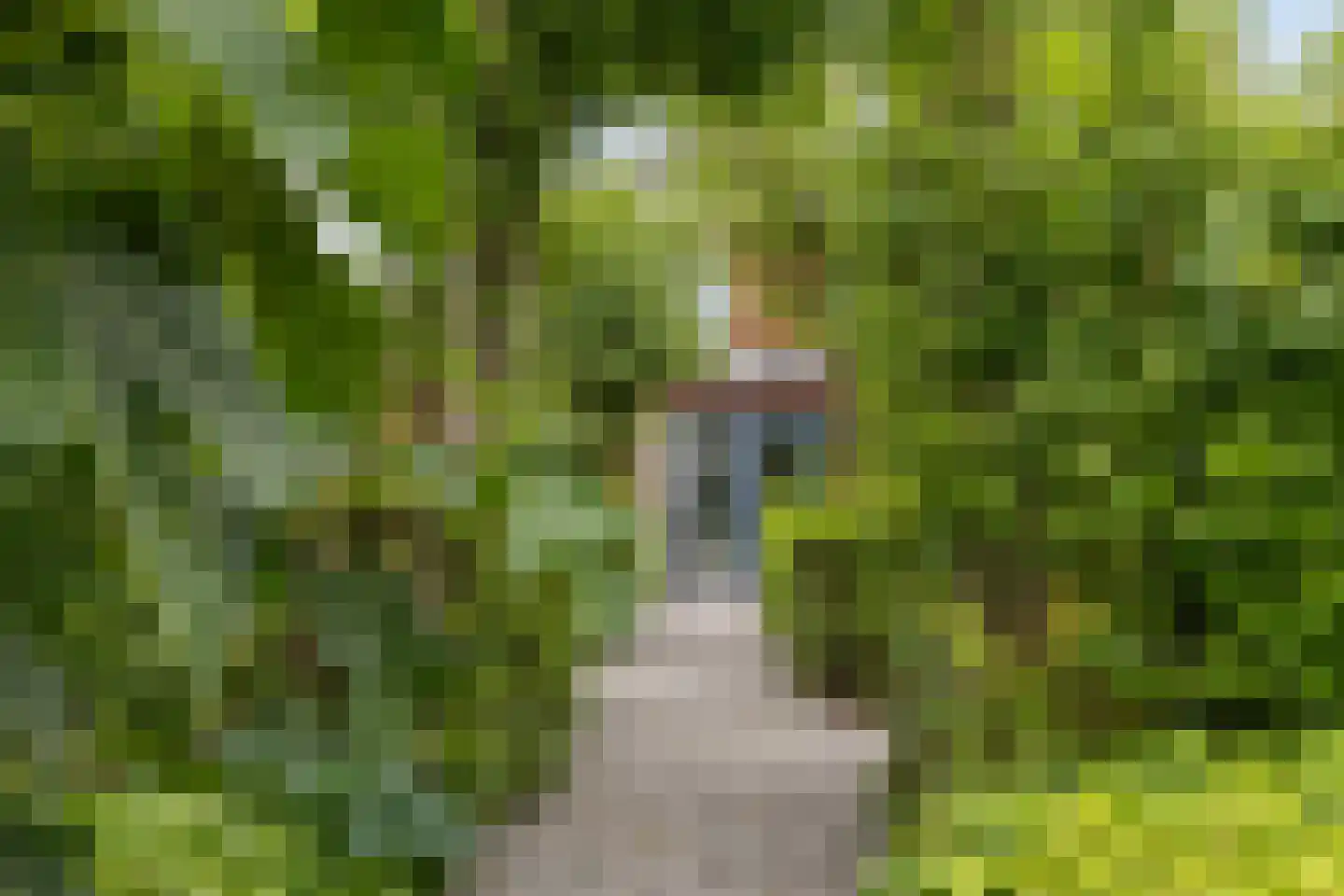 Albatroslaan 221 Lelystad thumbnail 69