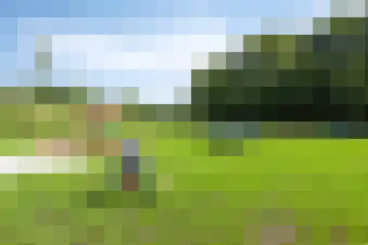 Albatroslaan 230 Lelystad thumbnail 47