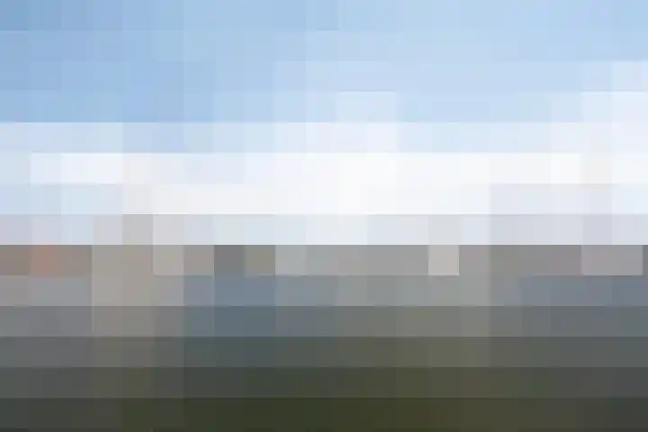 Albatroslaan 230 Lelystad thumbnail 50
