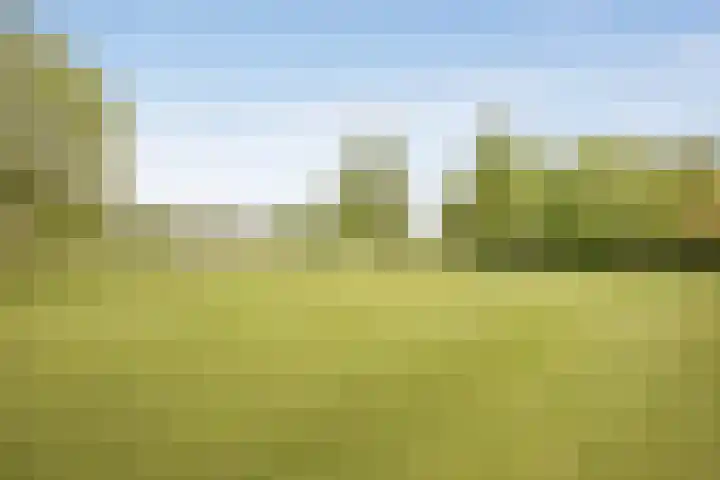 Albatroslaan 230 Lelystad thumbnail 52
