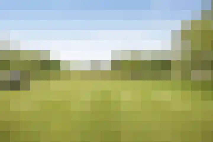 Albatroslaan 230 Lelystad thumbnail 55