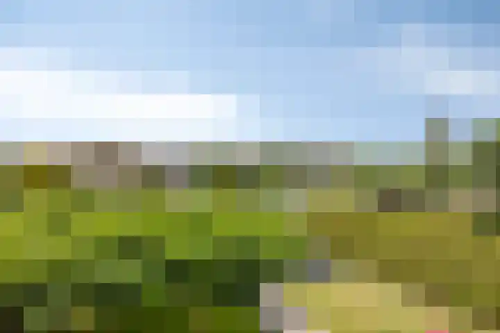 Albatroslaan 249 Lelystad thumbnail 24