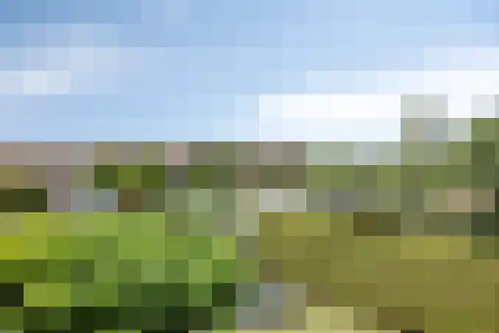 Albatroslaan 249 Lelystad thumbnail 25