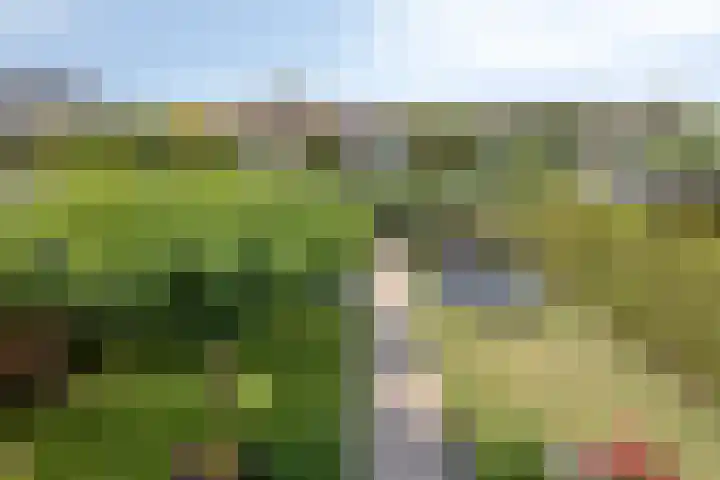 Albatroslaan 249 Lelystad thumbnail 26