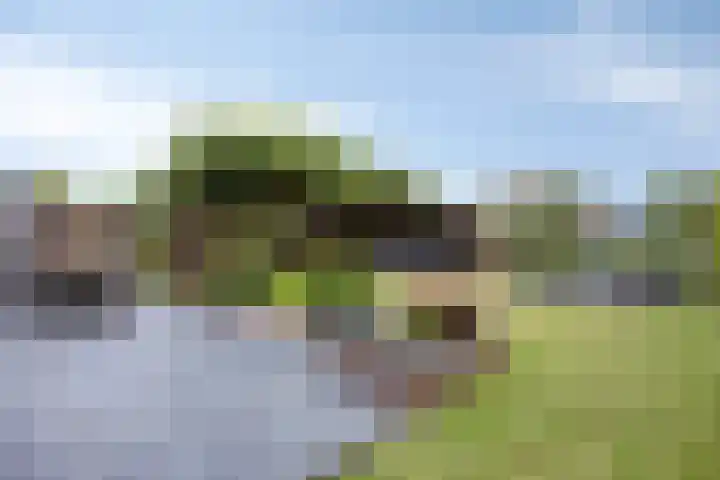 Albatroslaan 249 Lelystad thumbnail 37