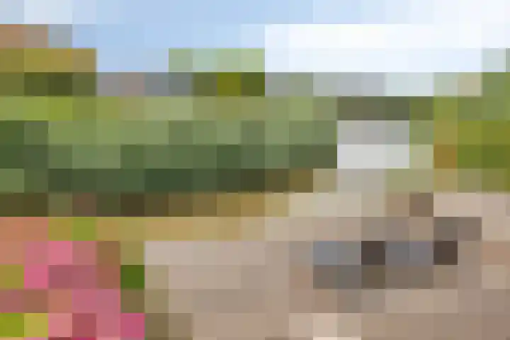 Albatroslaan 249 Lelystad thumbnail 43