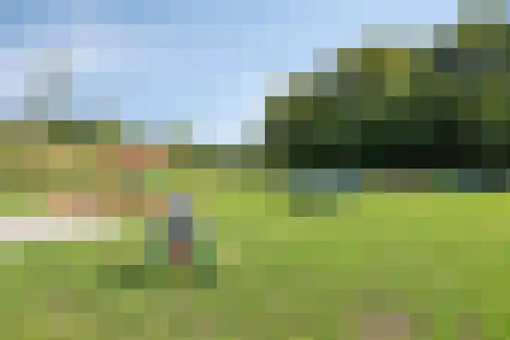 Albatroslaan 249 Lelystad thumbnail 46
