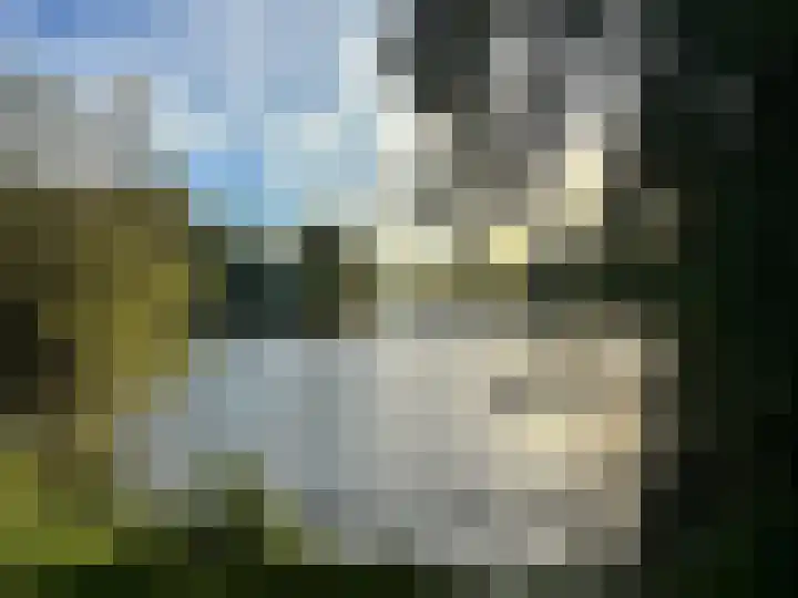 Albatroslaan 249 Lelystad thumbnail 60