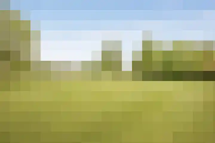 Albatroslaan 249 Lelystad thumbnail 61