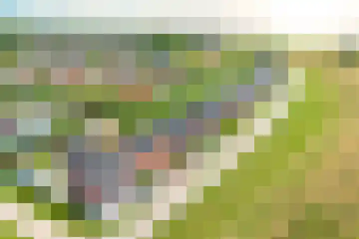 Albatroslaan 277 Lelystad thumbnail 4