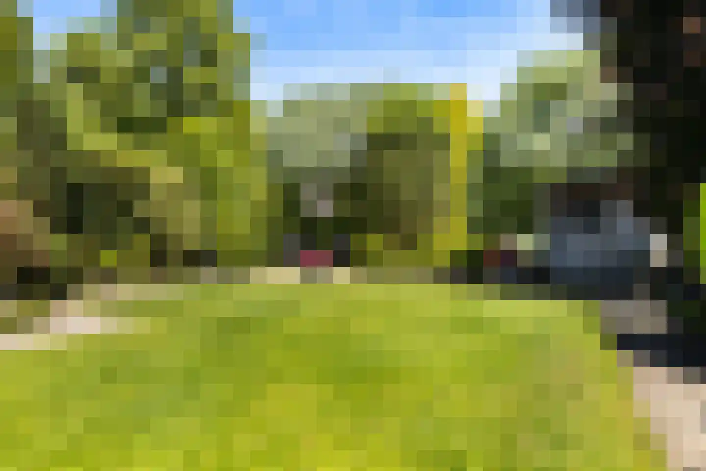 Albatroslaan 54 Lelystad thumbnail 37