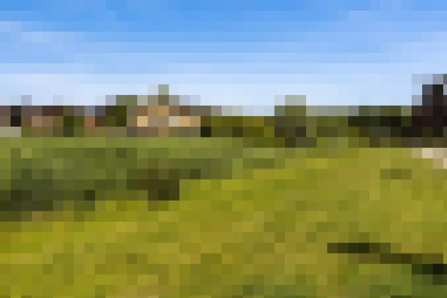 Albatroslaan 54 Lelystad thumbnail 47