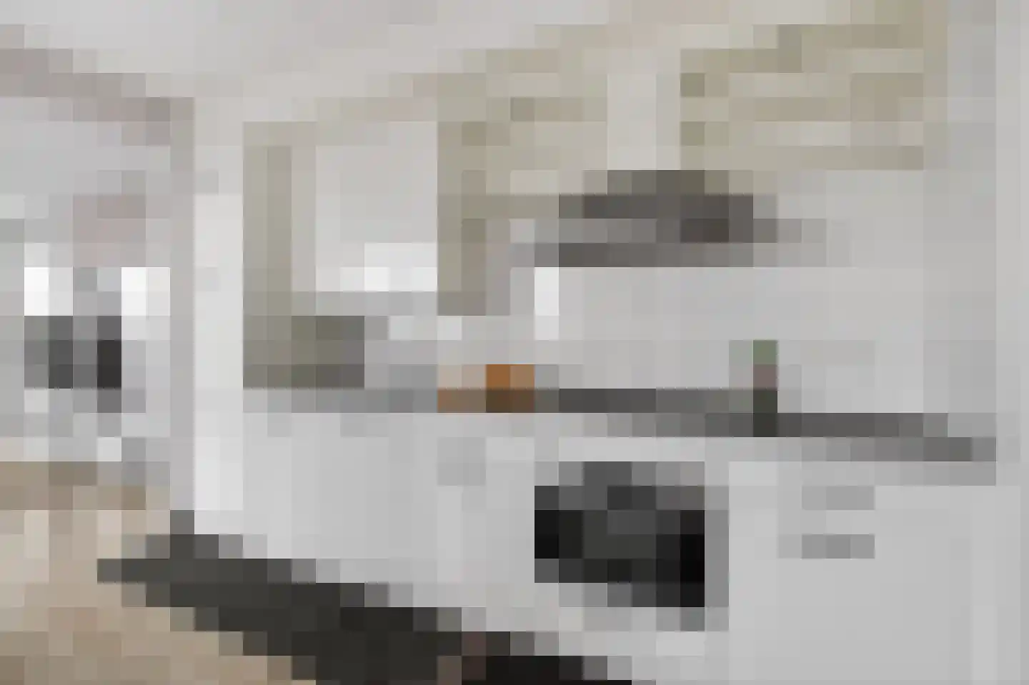 Albatrospad 119 Amsterdam thumbnail 11