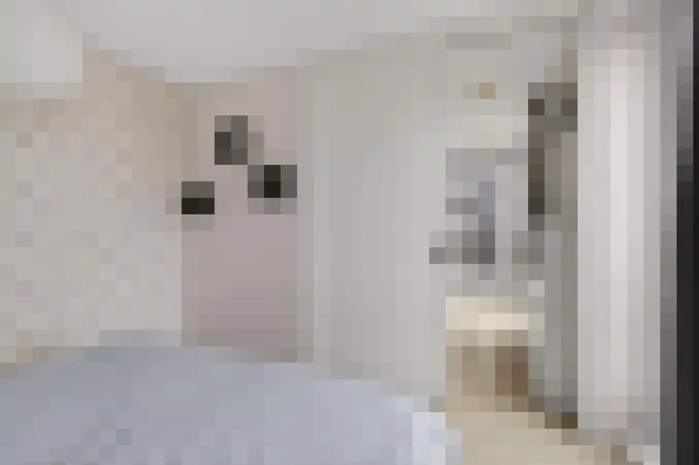 Albatrospad 119 Amsterdam thumbnail 18