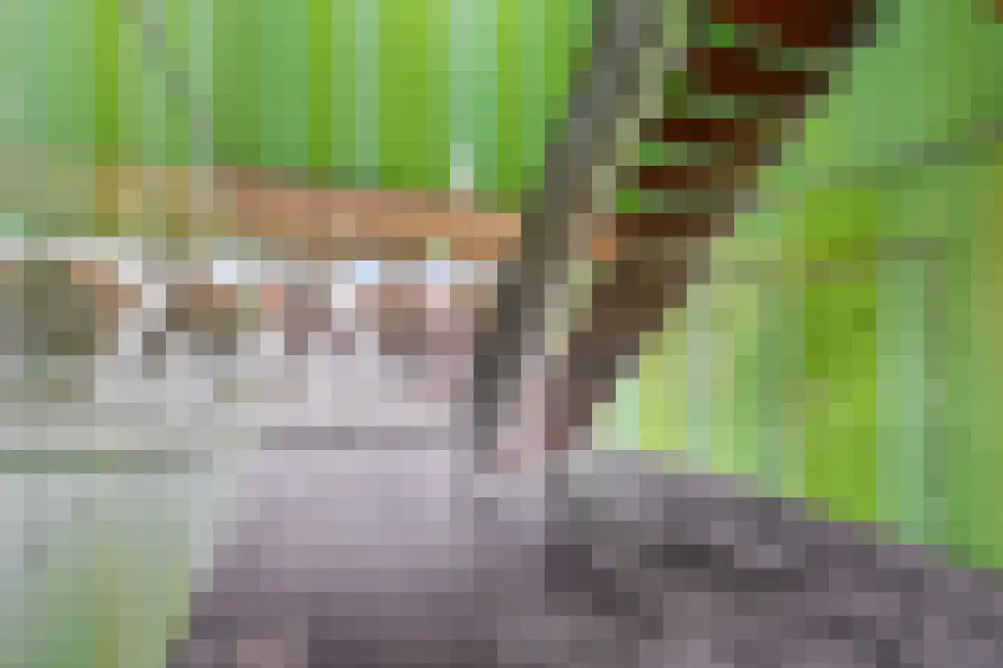 Albatrospad 119 Amsterdam thumbnail 6