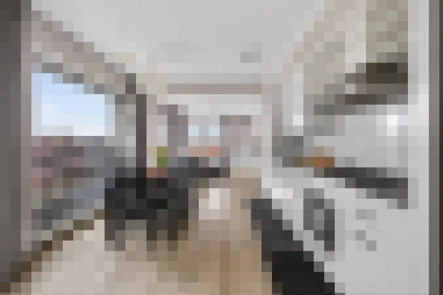Albatrospad 119 Amsterdam thumbnail 8