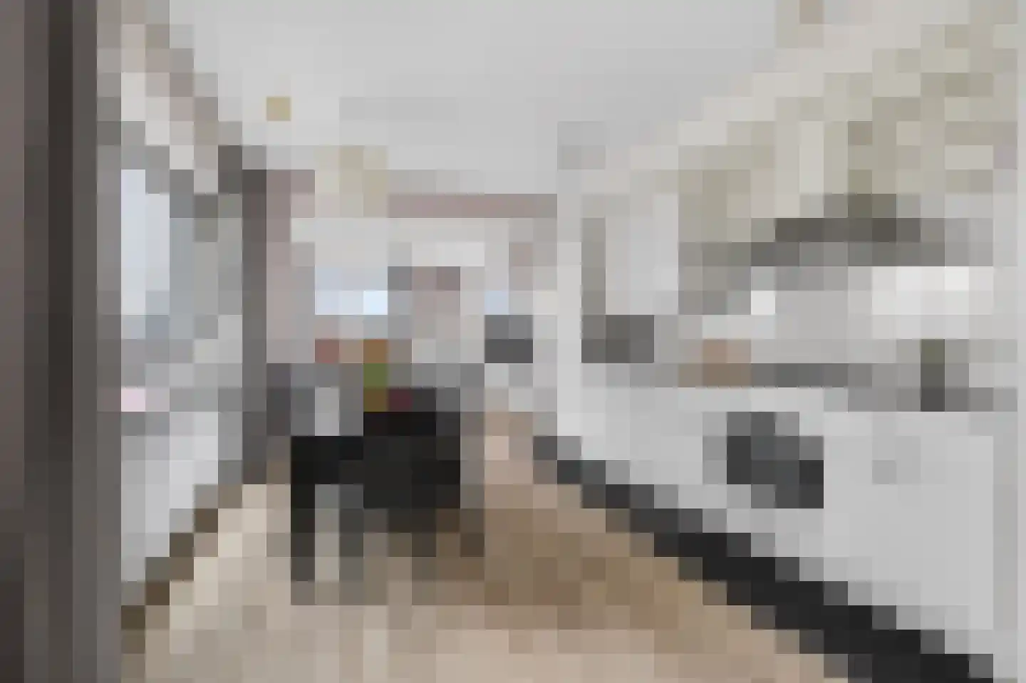 Albatrospad 119 Amsterdam thumbnail 9