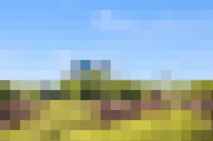 Albatrospad 128 Amsterdam thumbnail 20