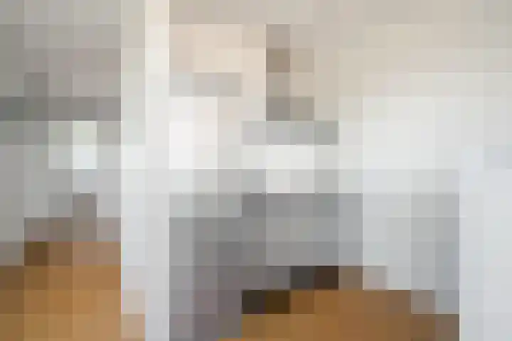 Albatrospad 128 Amsterdam thumbnail 24