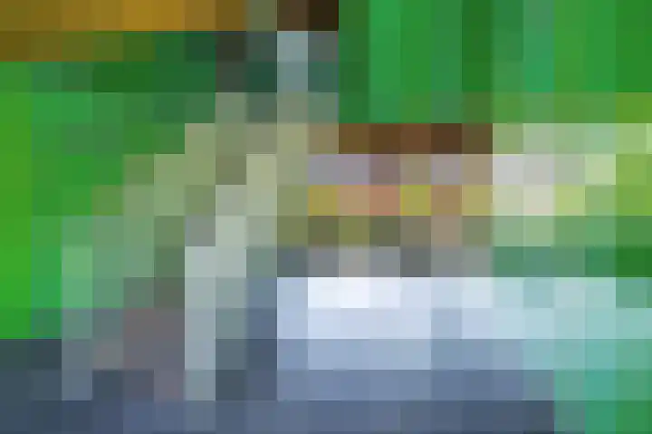 Albatrospad 128 Amsterdam thumbnail 5
