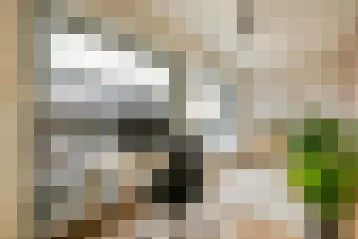Albatrospad 141 Amsterdam thumbnail 12