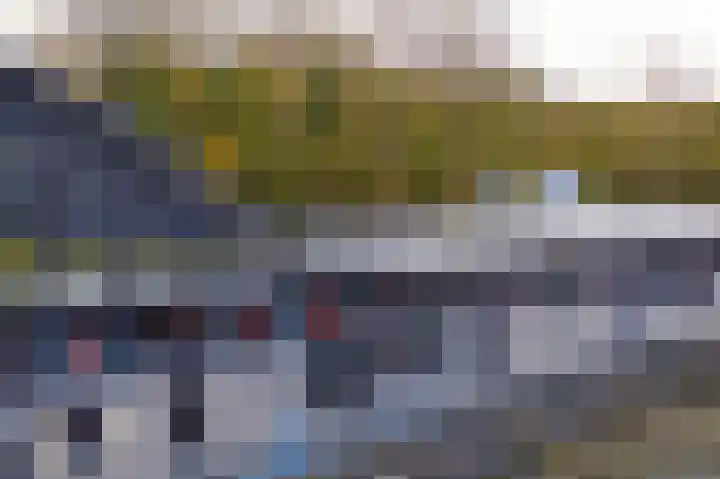 Albatrospad 141 Amsterdam thumbnail 19