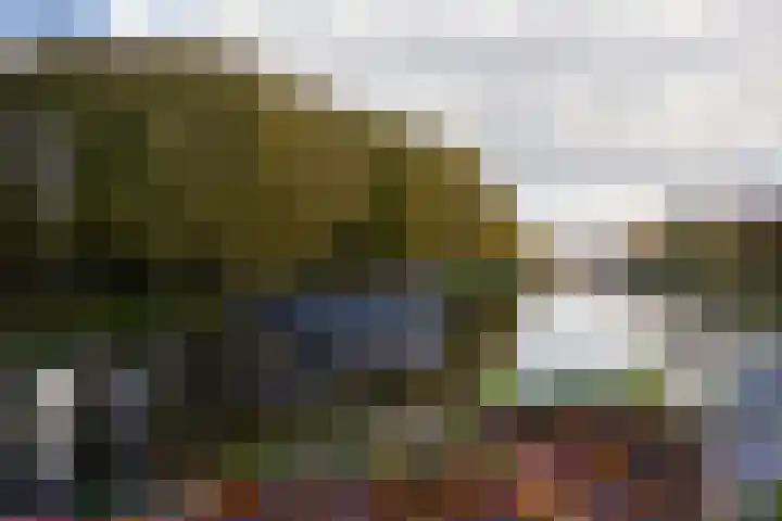 Albatrospad 141 Amsterdam thumbnail 21
