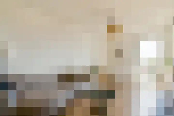 Albatrospad 141 Amsterdam thumbnail 4