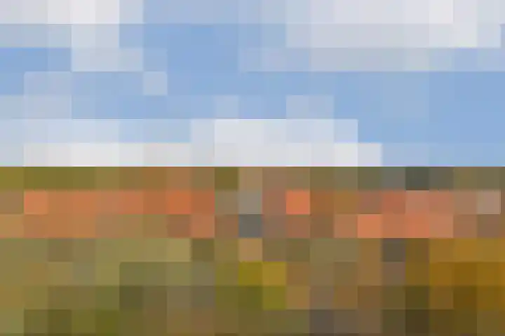 Albatrospad 141 Amsterdam thumbnail 5