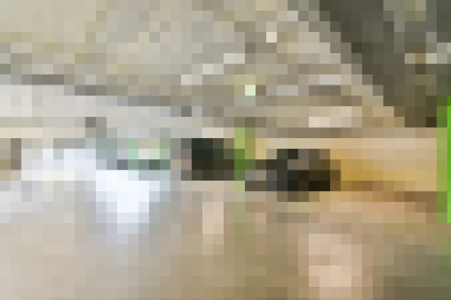 Albatrospad 17 Amsterdam thumbnail 22