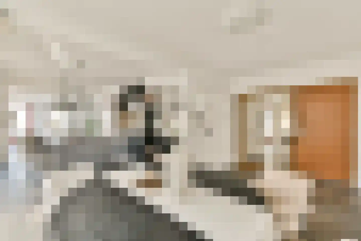 Albatrospad 17 Amsterdam thumbnail 5
