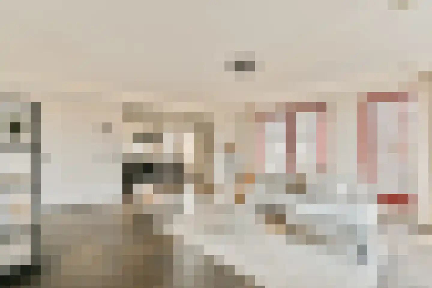 Albatrospad 17 Amsterdam thumbnail 7