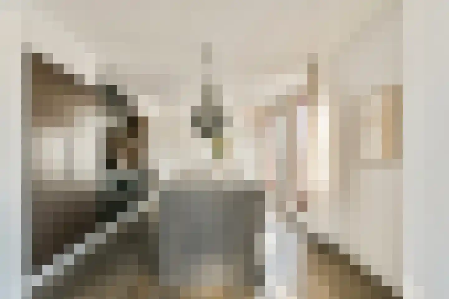 Albatrospad 17 Amsterdam thumbnail 9