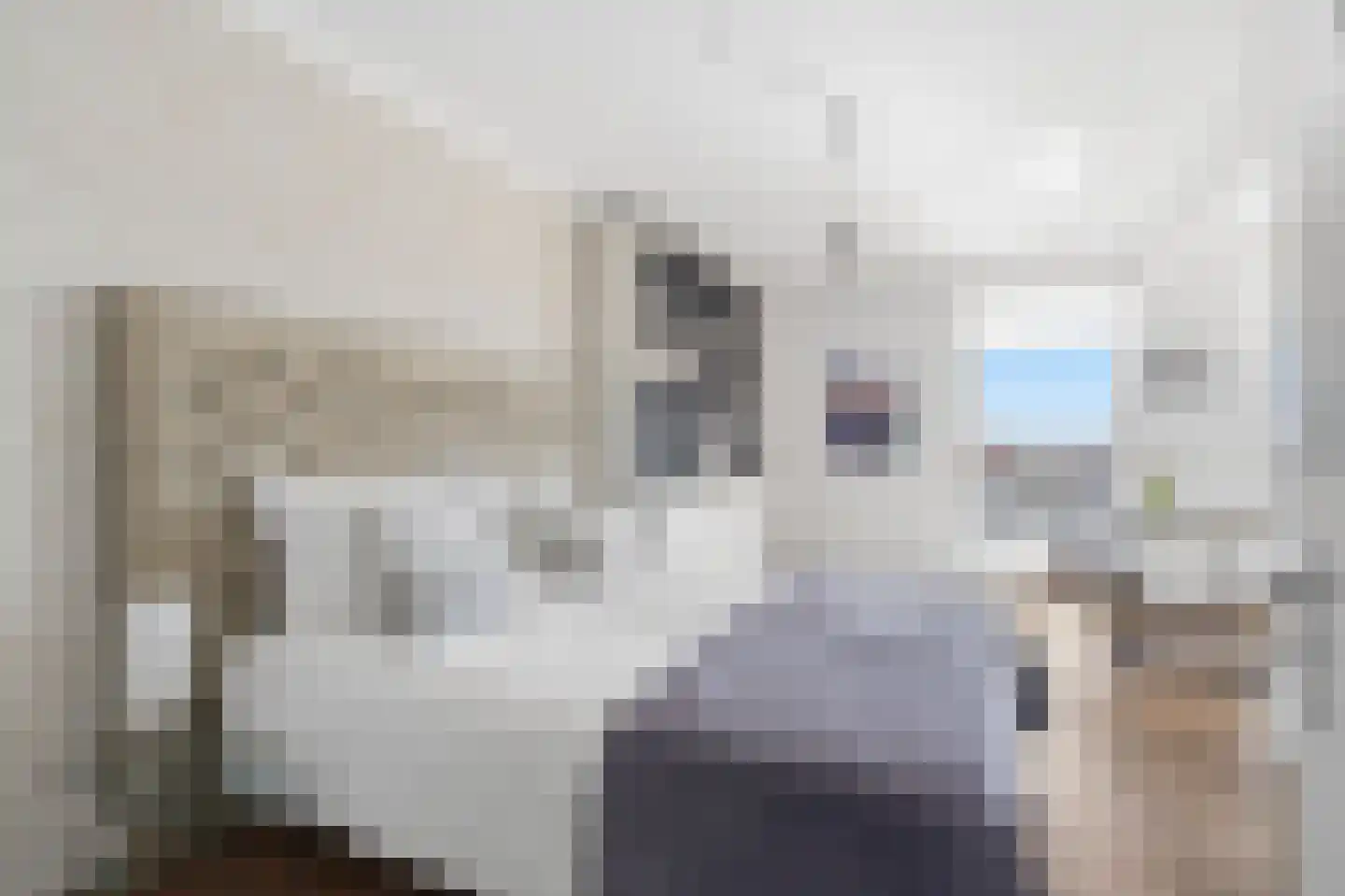 Albatrospad 22 Amsterdam thumbnail 18