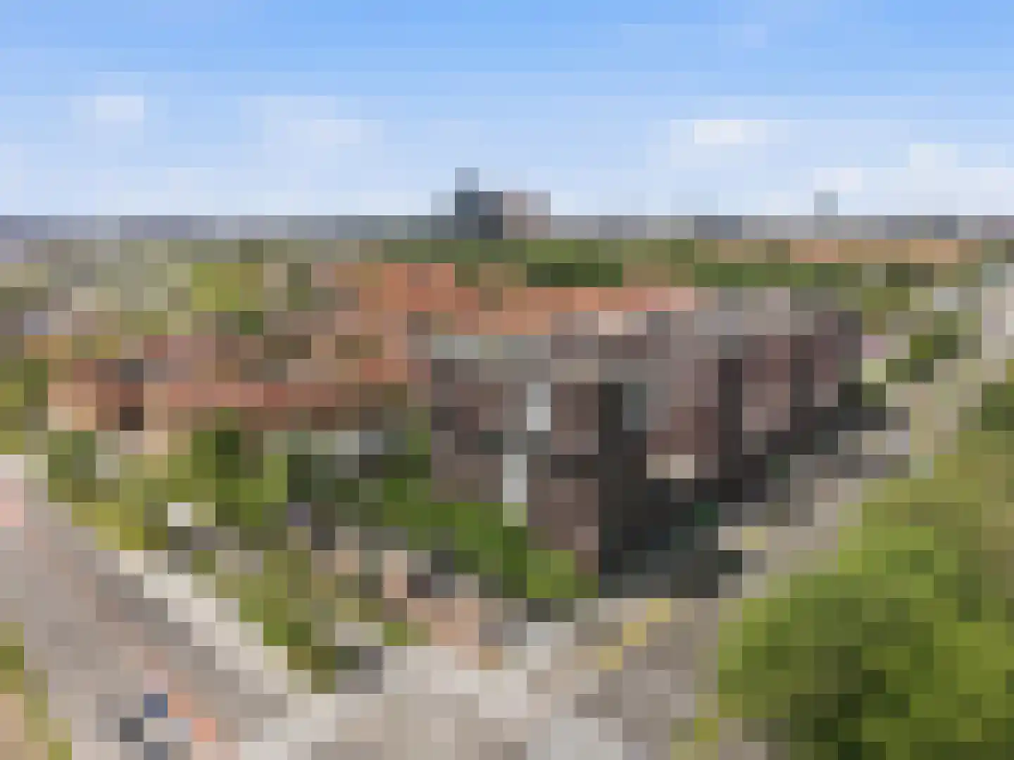 Albatrospad 22 Amsterdam thumbnail 29