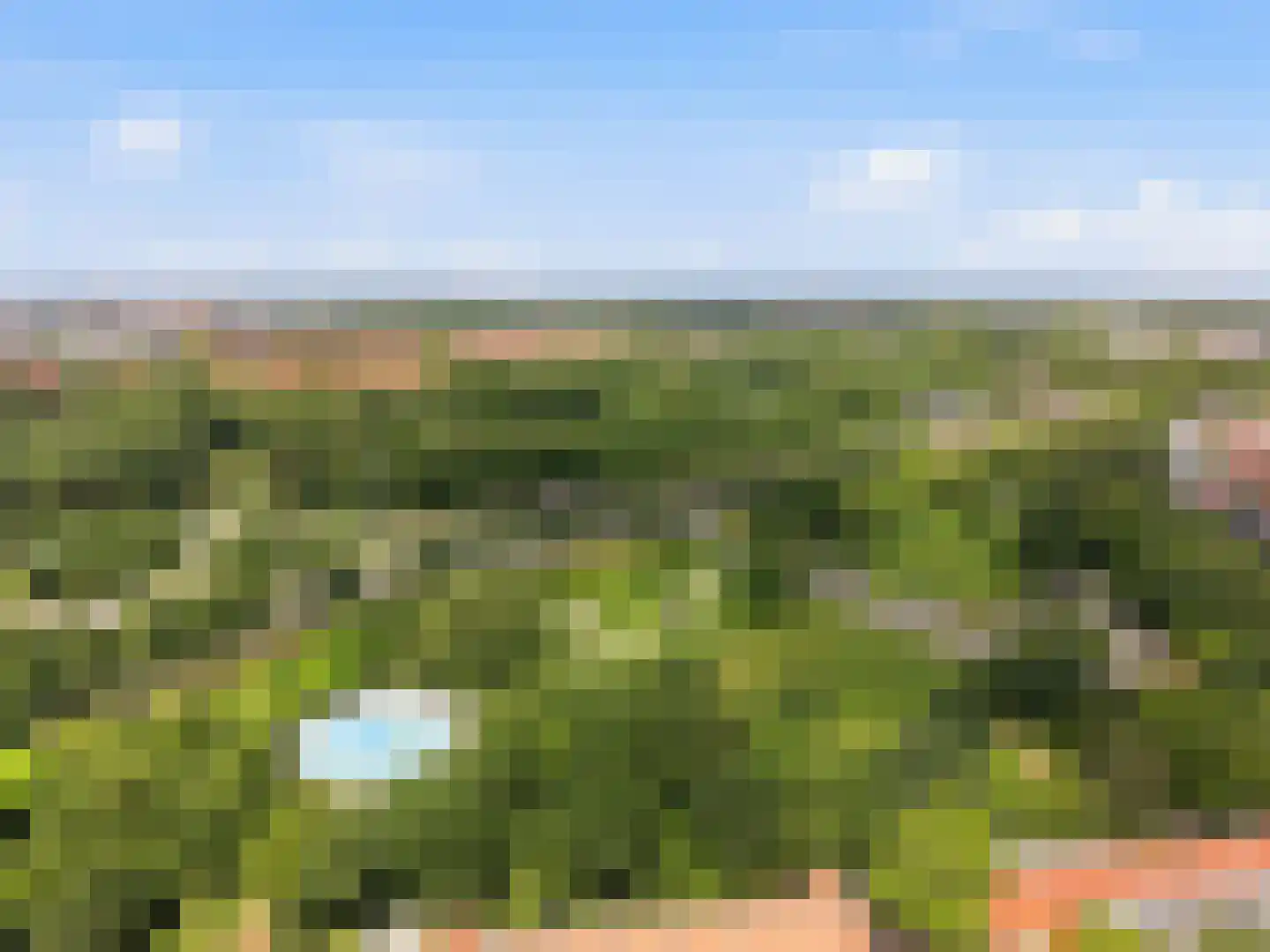 Albatrospad 22 Amsterdam thumbnail 31