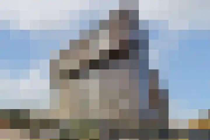 Albatrospad 27 Amsterdam thumbnail 16