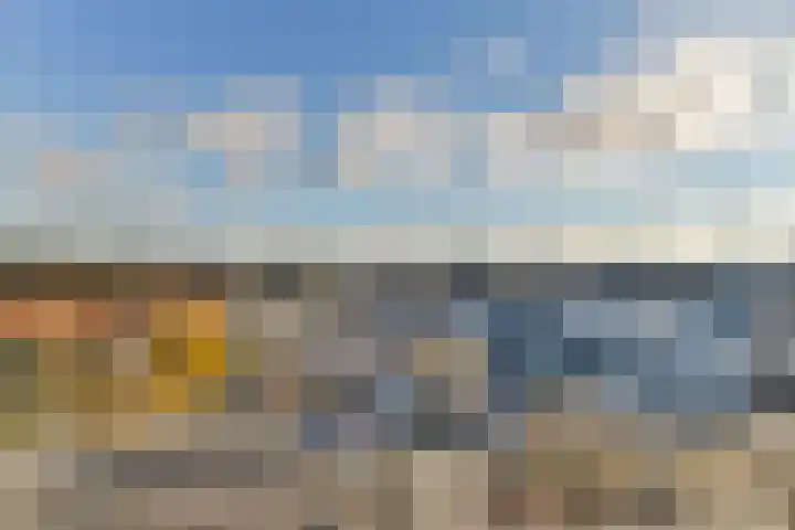 Albatrospad 27 Amsterdam thumbnail 4